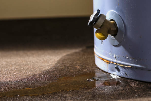 Best Ceiling water damage repair  in Cedar Falls, IA