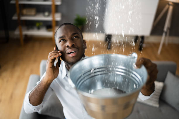 Best 24-hour water damage restoration  in Cedar Falls, IA