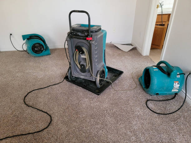 Best Water damage restoration near me  in Cedar Falls, IA