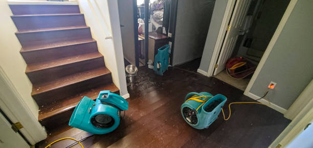 Best Emergency water damage restoration  in Cedar Falls, IA