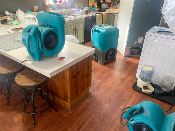 Best Flood damage cleanup  in Cedar Falls, IA