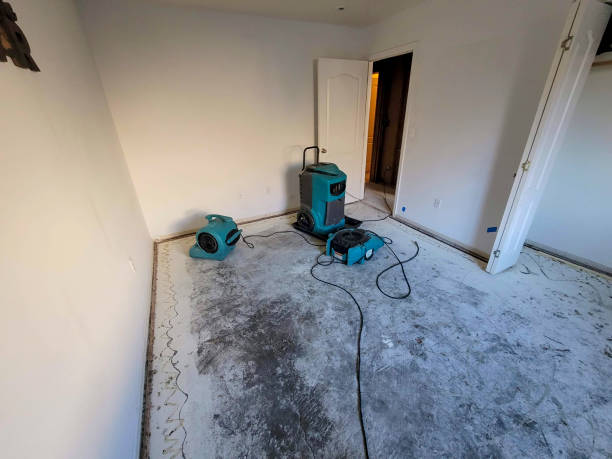 Best Water damage restoration near me  in Cedar Falls, IA