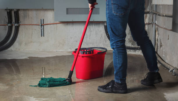 Best Water damage restoration insurance claims  in Cedar Falls, IA