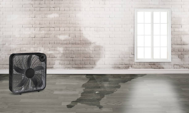 Best Emergency water damage restoration  in Cedar Falls, IA