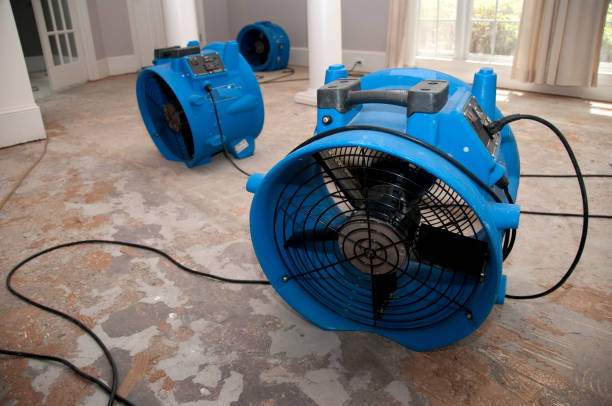 Best Flood damage cleanup  in Cedar Falls, IA