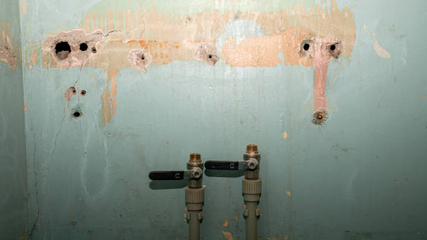 Best Mold removal after water damage  in Cedar Falls, IA