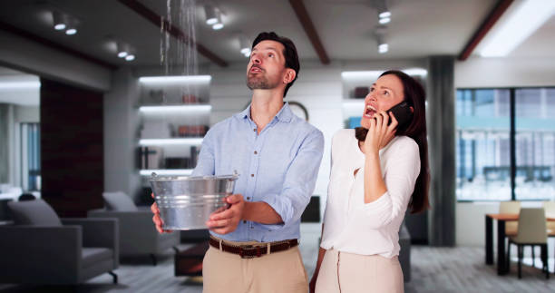 Best Local water damage restoration  in Cedar Falls, IA