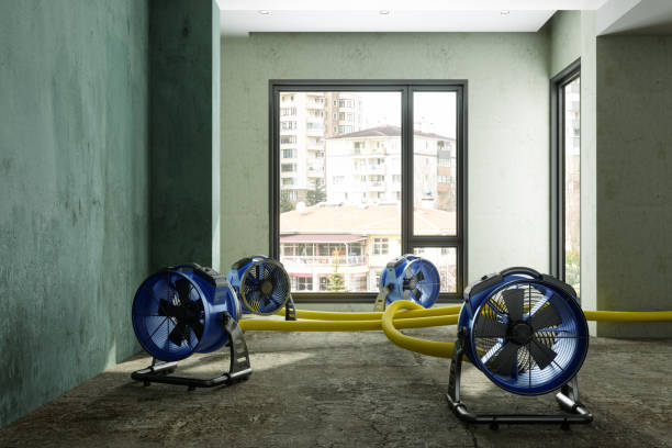 Best Water damage contractors near me  in Cedar Falls, IA