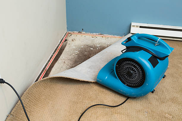 Best 24-hour water damage restoration  in Cedar Falls, IA